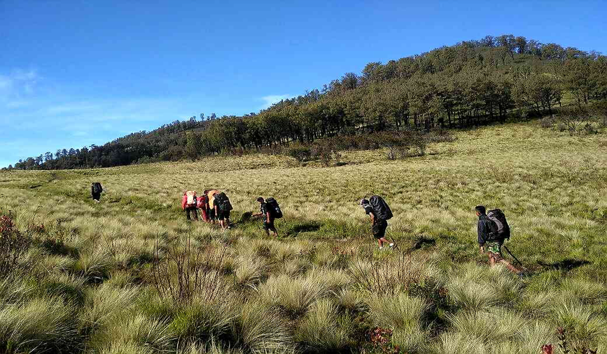 Hopes and Challenges on the Way to the Summit of Hargo Dumilah