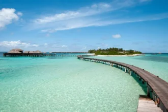 Hidden Tropical Paradise A Must-Visit Beach Destination