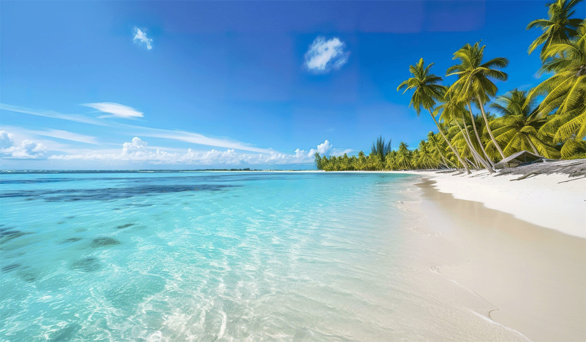 Chasing Paradise: Discovering White Sand Shores and Crystal Blue Seas Chasing Paradise: Discovering White Sand Shores and Crystal Blue Seas