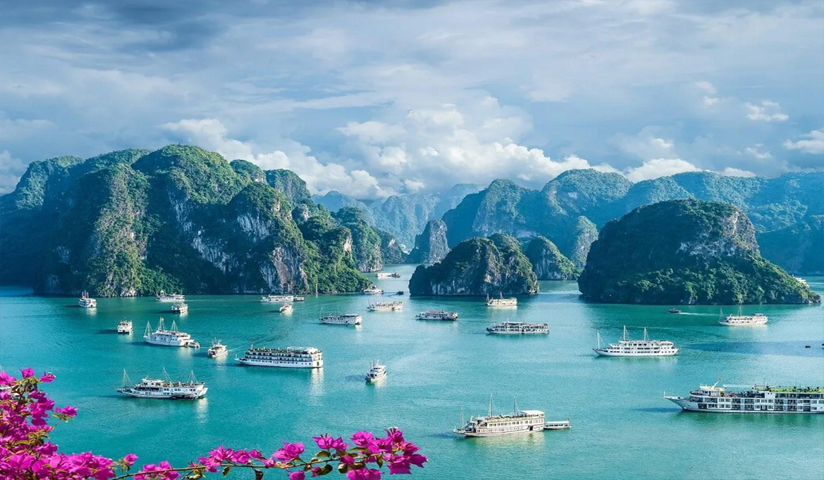 Enigmatic Forest Retreats