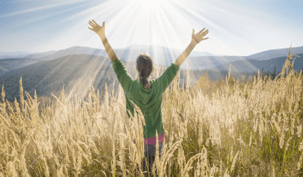 Self-Reflection on Life's Journey